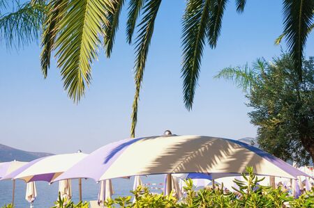Beach vacation concept. Sunny summer day, palm leaves, beach umbrellas.  Montenegro, Adriatic Sea, Tivat cityの写真素材