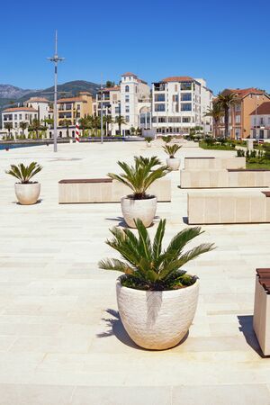 Embankment of Tivat city on sunny spring day.  Montenegroの写真素材