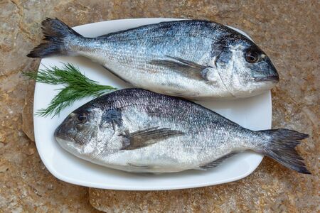 Mediterranean seafood. Two fresh raw fishes of sea bream on a white dish on stone.  Flat layの写真素材