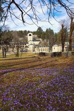 Montenegro, February day in Cetinje city. View of ancient Cetinje Monastery ( Serbian Orthodox Church monastery )の写真素材