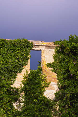 Wall of abandoned house overgrown with green ivy.  Window of ruined home. Montenegroの写真素材