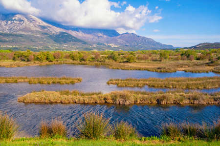 Beautiful sunny wetland landscape. Montenegro, Tivat. View of Tivat Salina  ( Tivatska Solila ) on spring dayの写真素材