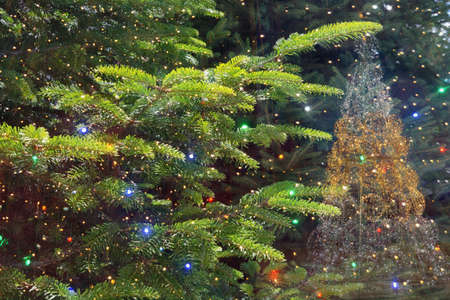 Fir-tree branches; Christmas tree with bright garland lights - double exposureの写真素材