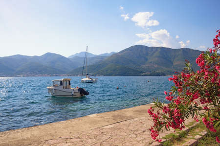 Beautiful summer Mediterranean landscape. Montenegro, Adriatic Sea, Bay of Kotor, Tivatの写真素材