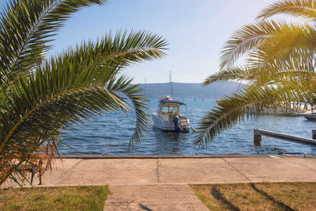 Beautiful Mediterranean landscape on sunny summer day. Montenegro, Adriatic Sea. Coast of Kotor Bay near Tivat cityの写真素材