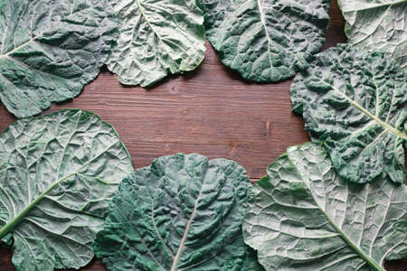 Rastan ( Collard greens, collards ) - popular leafy vegetables in Balkan cuisine. Dark rustic background, flat lay. Free space for textの写真素材