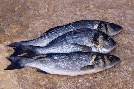 Three fresh raw fishes ( sea â€‹â€‹bass, sea bream ) on stone.  Flat lay