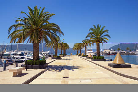 View of yacht marina of Porto Montenegro on sunny summer day.  Montenegro, Tivat cityの写真素材