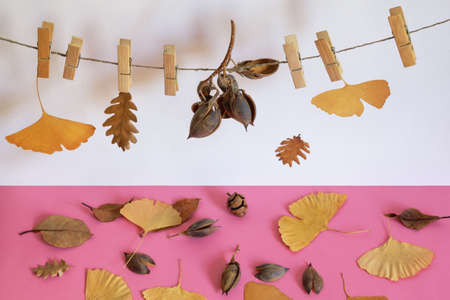 Autumn concept. Dry autumn leaves pinned on ropeの写真素材