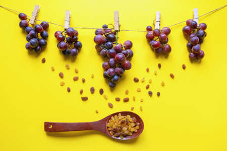 Autumn concept. Bunches of grapes pinned on rope, raisins in wooden spoon. Copy space