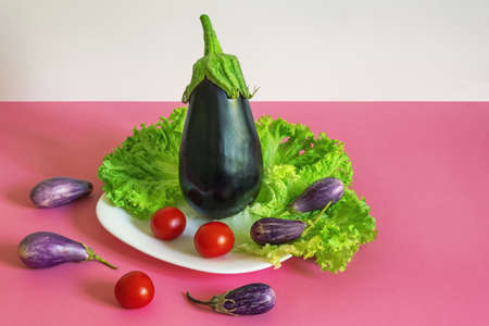 Vegetables: different purple and white eggplants, salad and cherry tomatoes on pink background. Copy spaceの写真素材