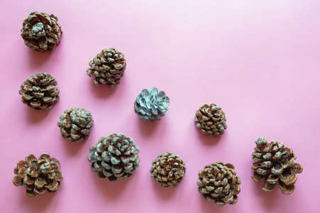 Pine cones on pink background. Flat lay, free space for text