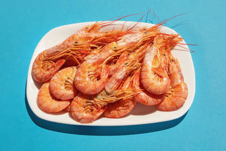 Dish with boiled pink shrimps on blue backgroundの写真素材
