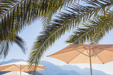 Beach vacation concept. Beach umbrellas and  leaves of palm trees against mountains and blue sky. Montenegroの写真素材