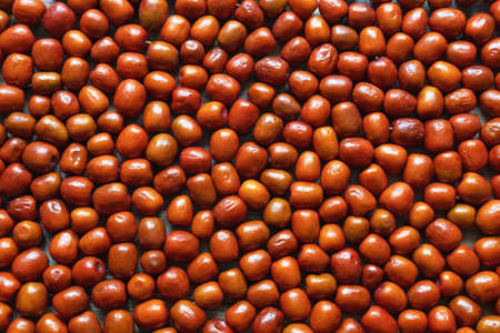 Fresh Jujube fruits ( Ziziphus jujuba ), backgroundの写真素材