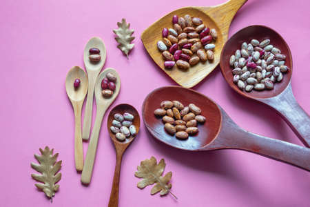 Beans in wooden spoons, geometric progression concept. Copy spaceの写真素材
