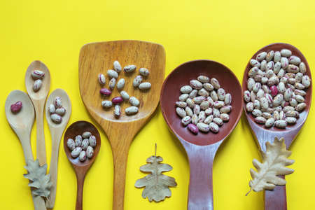 Beans in wooden spoons, geometric progression concept. Flat lay, free space for textの写真素材