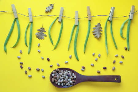 Autumn concept. Green beans  pinned on rope; dried beans in wooden spoon. Yellow paper backgroundの写真素材