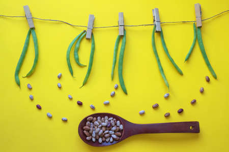 Autumn concept. Green beans  pinned on rope; dried beans are in wooden spoon. Yellow paper background. Flat layの写真素材