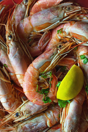 Dish with boiled pink shrimps and slice of lemonの写真素材