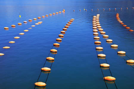 Mussel farm.  Growing mussels, rope culture.  Montenegro, Adriatic Sea, Kotor Bayの写真素材