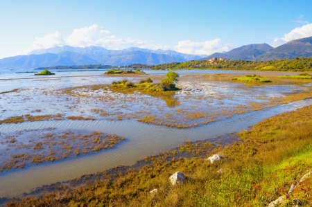 Beautiful sunny wetland landscape. Montenegro, Tivat. View of Tivat Salina, nature reserveの写真素材