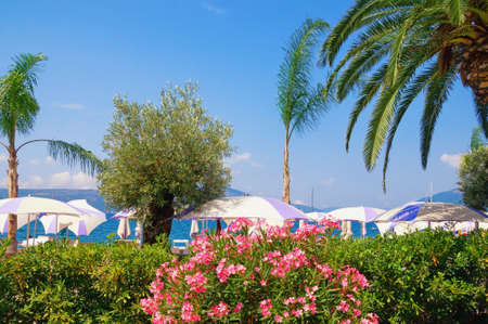 Beautiful Mediterranean landscape,  summer vacation concept.  Montenegro,  Tivat cityの写真素材