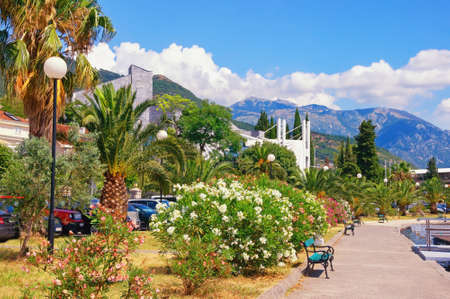 Sunny mediterranean landscape, summer vacation concept. Montenegro, Tivat cityの写真素材