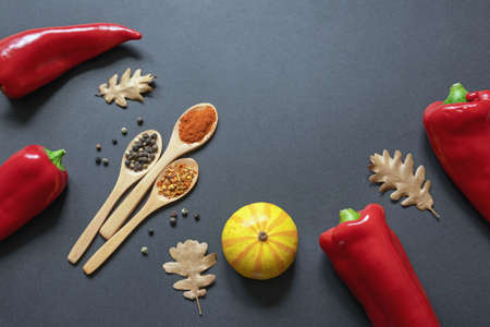 Autumn. Red peppers, pumpkin, autumn leaves. Pepper spice in wooden spoons.  Flat lay, copy spaceの写真素材