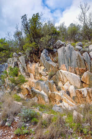 Scenic stones and grass, details of karst landscape of Dinaric Alps, Montenegroの写真素材