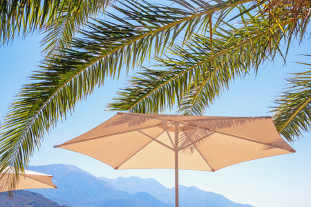Beach vacation concept. Beach umbrella and  leaves of palm trees against blue sky and mountains on sunny day. Montenegroの写真素材