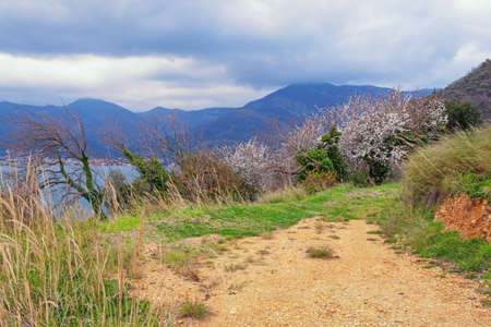 Cloudy spring day in mountains, beautiful Mediterranean landscape. Montenegro,  Kotor Bay, Tivatの写真素材