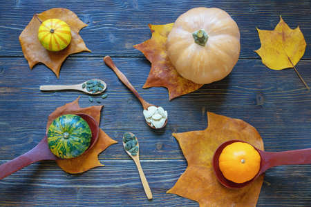 Autumn. Colorful pumpkins, autumn leaves  and pumpkin seeds on dark rustic tableの写真素材