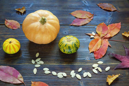Autumn. Colorful pumpkins, autumn leaves  and pumpkin seeds on rustic tableの写真素材