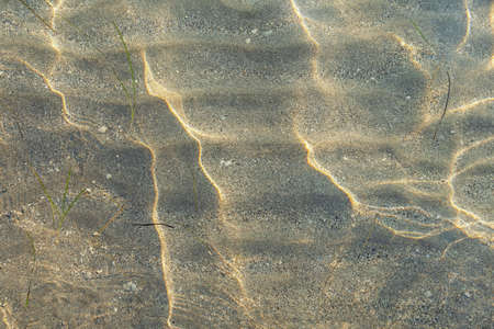 Abstract natural texture. Shallow water,  sand beach on sunny dayの写真素材