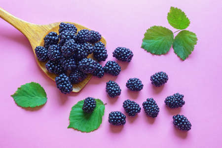 Fresh ripe blackberries on pink background. Flat lay. Free space for text