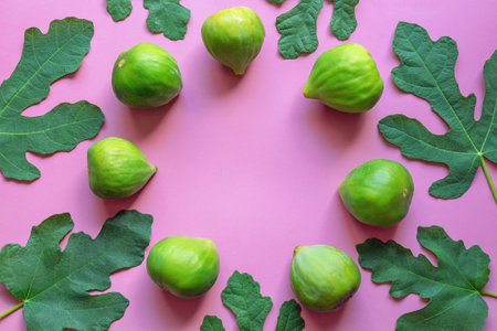 Ripe fig fruit and green leaves of a fig tree on pink paper background.  Flat lay. Copy spaceの写真素材