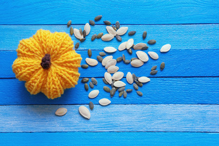 Yellow knitted pumpkin and pumpkin seeds on blue rustic table. Flat lay, copy spaceの写真素材