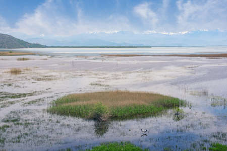 Beautiful wetland landscape on spring day.  Montenegro.  View of National Park Lake Skadarの写真素材
