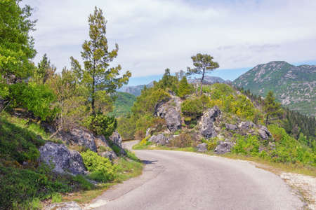 Balkan road trip. Beautiful summer mountain landscape with country road. Montenegro. National Park Lake Skadarの写真素材
