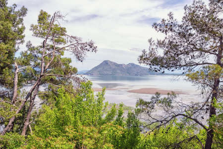 Montenegro, Skadar Lake National Park. View of coast of lake Skadar on cloudy spring dayの写真素材
