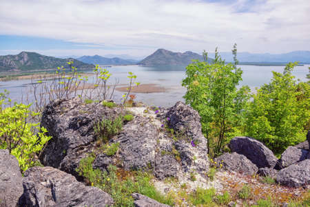 Montenegro, Skadar Lake National Park. View of coast of lake Skadar in springの写真素材