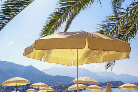 Beach vacation concept. Beach umbrella and  leaves of palm trees against blue sky and mountains on sunny day. Montenegro, Tivatの写真素材