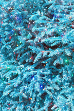 Blue branches of fir tree. Christmas and New Year bright garland.  Double exposure, toningの写真素材