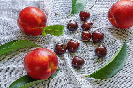 Red summer fruits. Fresh ripe cherries and nectarines in the kitchenの写真素材