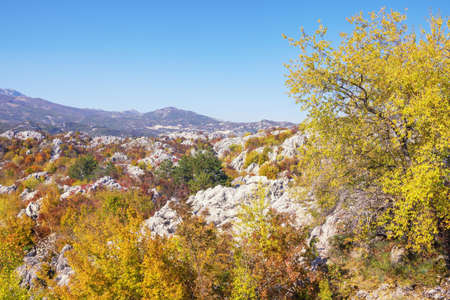 Sunny autumn day in mountains. Beautiful mountain landscape. Montenegro, Dinaric Alps, Cetinjeの写真素材