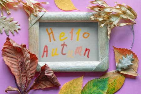 Hello Autumn. Frame with autumn leaves on paper background. Flat lay, letteringの写真素材