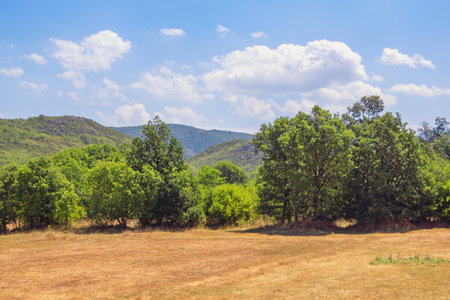 Bosnian countryside. Beautiful mountain valley. Green mountains, trees and yellow field on sunny summer day. Bosnia and Herzegovina, Republika Srpskaの写真素材