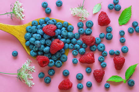 Summer wild berries: raspberries and blueberries .  Flat lay, pink paper backgroundの写真素材