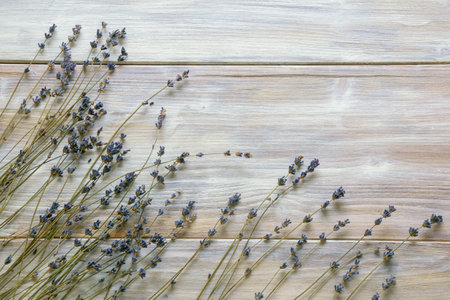 Dried lavender flowers on rustic wooden table, background. Free space for textの写真素材